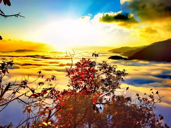 哀牢山云海日出精选照片集(一)!#哀牢山云海日出#自然风光 - 抖音