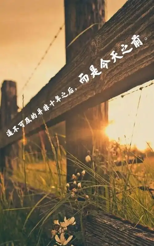 朋友圈正能量满满的励志经典语句非常走心的感悟人生心灵鸡汤