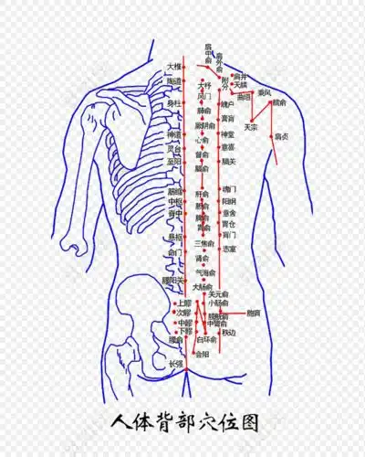 16人体一共12条正经,除了心包经和膀胱经外,有10条经络经过肩颈