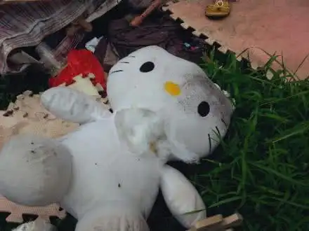 香港hellokitty藏尸案始末施暴杀人手段简直丧心病狂