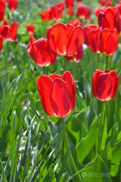 682_1023竖版 竖屏