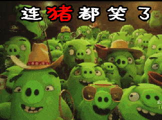 小猪绿色可爱萌萌哒连猪都笑了gif动图_动态图_表情包下载_soogif