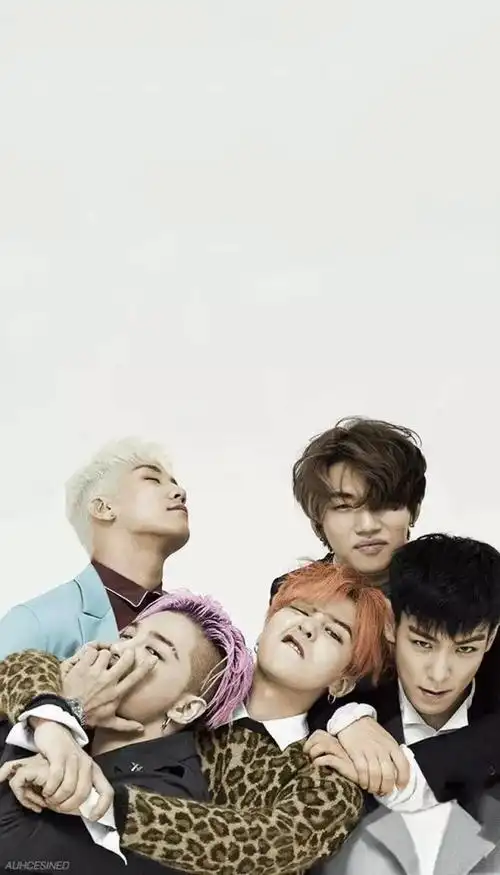 韩国歌曲《big bang》里面那五个男孩是一个组合吗