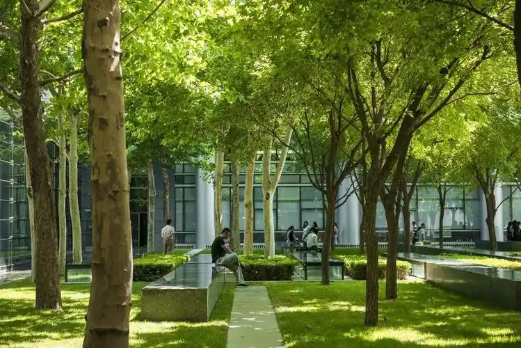 树阵景观植物配置四大要点,园林人要知道 - 建筑界