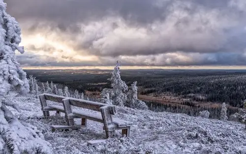 壁纸 波西欧,芬兰,冬天,雪,板凳,树木,云