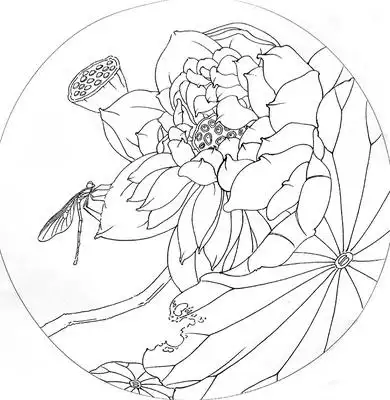 工笔画打印白描底稿李晓明晓明荷花初学者临摹透稿文字说明国画