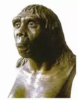 中国人从何而来解密人类迁移路线图深度好文