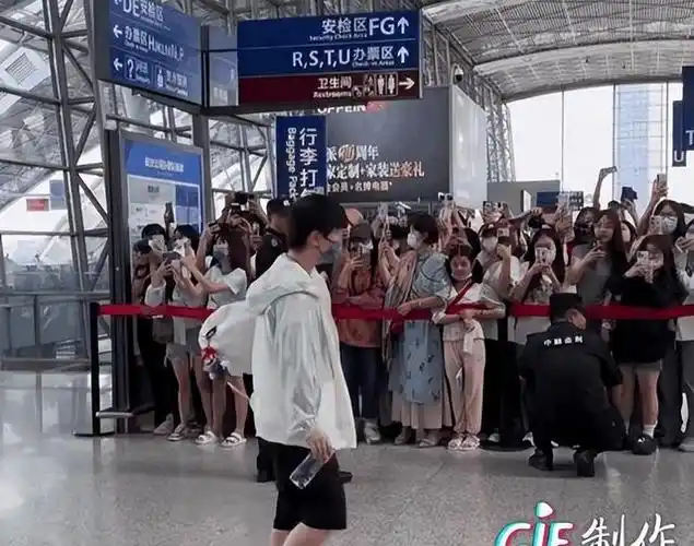 不装了王楚钦孙颖莎机场久违再同框,和官宣也没啥区别了