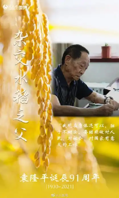 今天,重温袁隆平的话