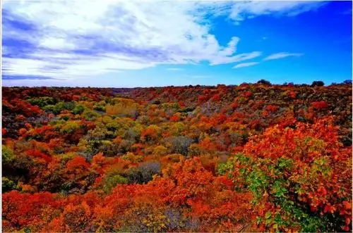 内蒙古通辽市科左后旗甘旗卡镇大清沟旅游景区金顺欢乐王国陈总