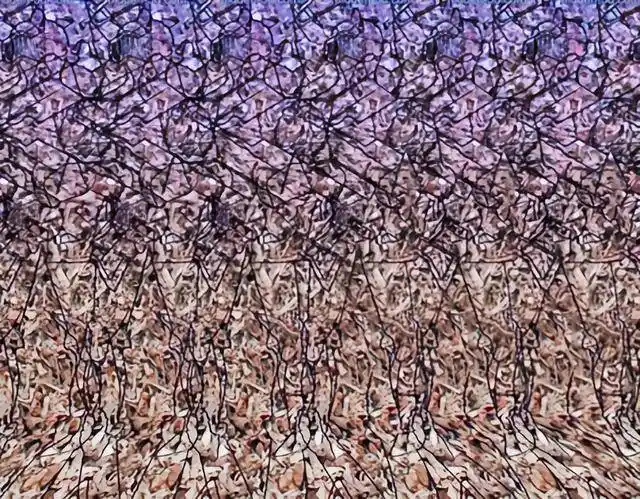 开启交叉眼看3d图打开另一个奇幻世界