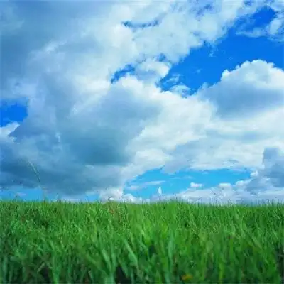 阳光风景头像很高清蓝天最美风景微信头像