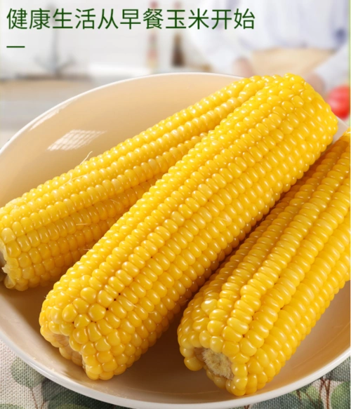 寻么 东北新鲜真空包装黄糯玉米棒8支共1760g16.9元包邮(需领券)_天猫