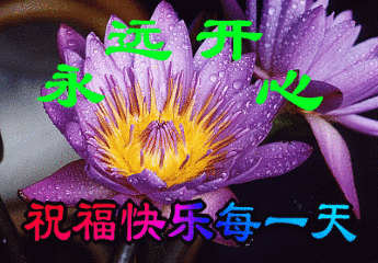 适合下午发朋友圈的问候语带图片