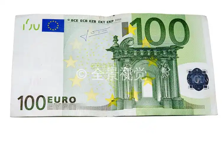 两个100欧元钱钞票隔绝白色背景