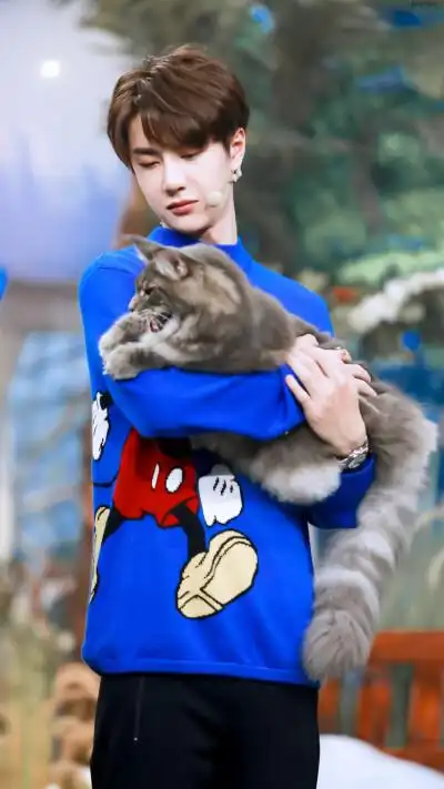 181014 天天向上 修图「我的猫系男友～喵～喵～」 @uniq-王一博 cr