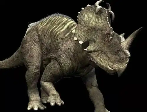 中生代时期的地球霸主,恐龙家族中的大型独角兽--尖角龙