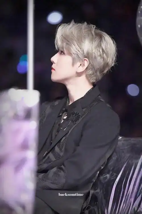 边伯贤银发/银发收集者再次上线 - 堆糖,美图壁纸兴趣社区