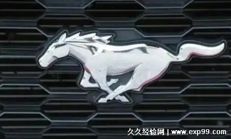 一匹马的标志是什么车(站起来的马是法拉利)-图4