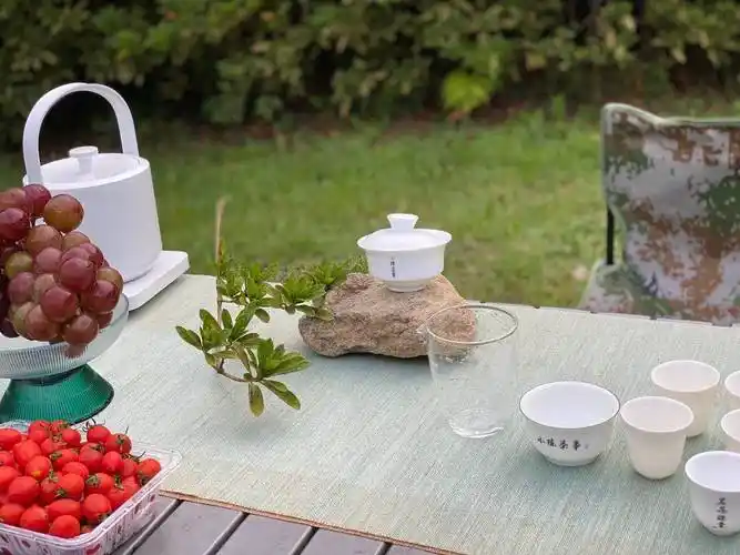 保温杯泡,围炉煮茶,户外泡茶,3个春节户外喝茶小妙招,学起来_茶水