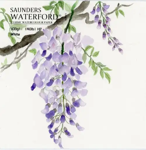 简笔画教程紫藤花纸:获多福笔:红楼颜料:美捷乐一日,一花,一诗,感受