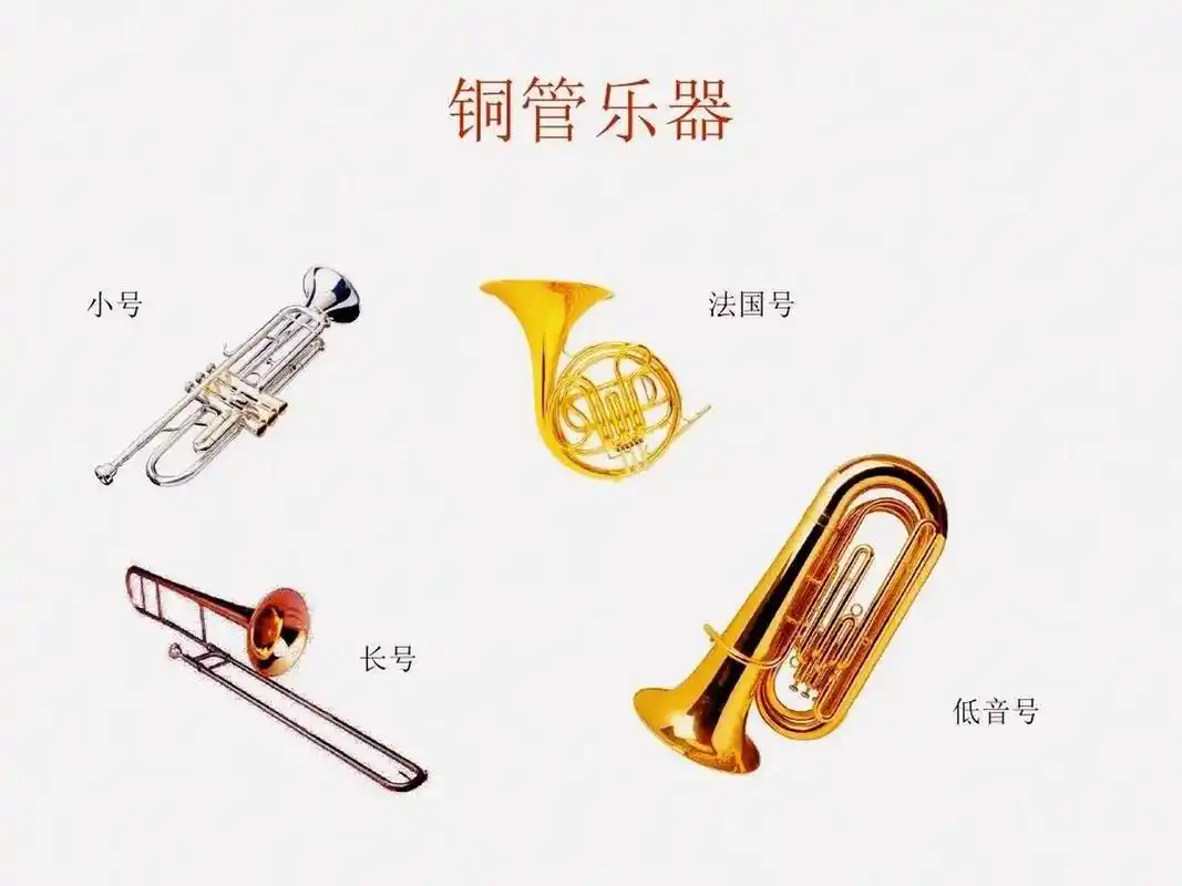 铜管乐器 铜管乐器(the brass family) 以金属製成的管状吹奏乐器,以