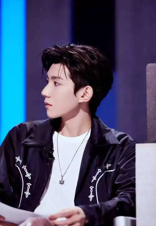 魏哲鸣_丁禹兮_罗云熙