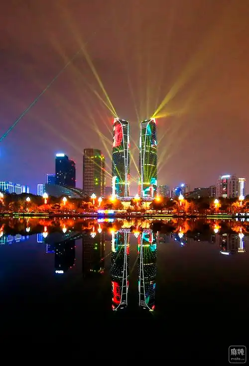 夜幕下的双子塔