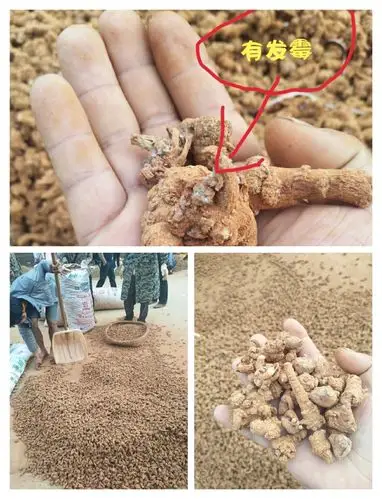 8. 19(多云~星期六)文山三七国际交易中心