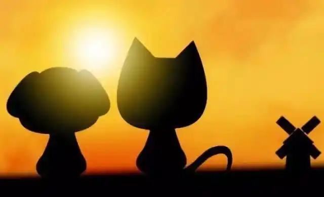 最好的感情不是我爱你,而是有我在