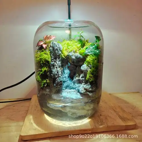 创意雨林缸悬涯流水微景观造景桌面生态缸爬宠养鱼治愈真苔藓玻璃