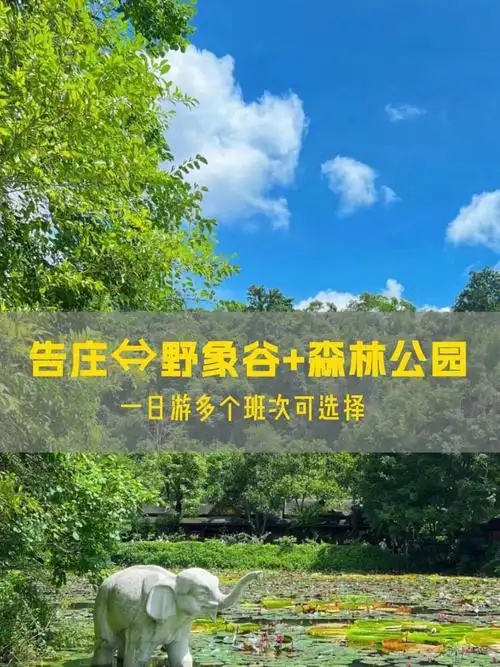 西双版纳野象谷森林公园一日游
