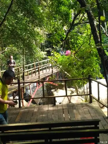 昌江县霸王岭国家森林公园一日游