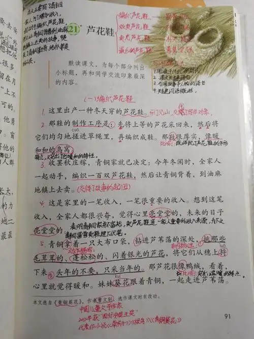 四年级下册语文21芦花鞋