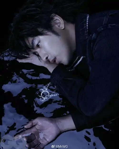 影由相生##陈柏霖