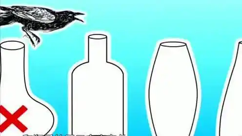 者:科学芈盒0:04:16科学实验:童话故事里乌鸦喝水的瓶子是怎样的瓶子?