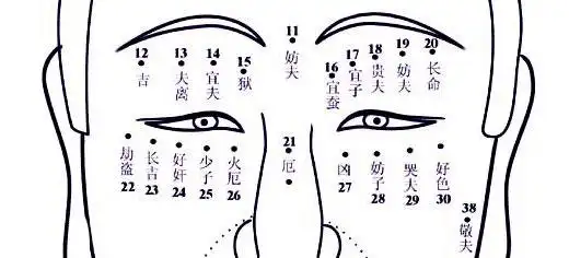 女痣的位置与命运女痣的位置与命运图解