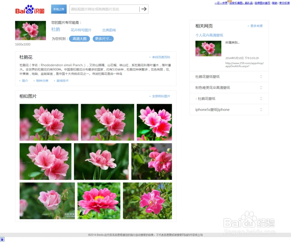 怎么找相似的图片