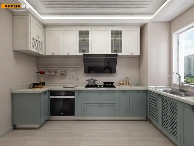 案例1橱柜颜色搭配也是一种技巧,目前橱柜颜色分两种:一是单色橱柜,二