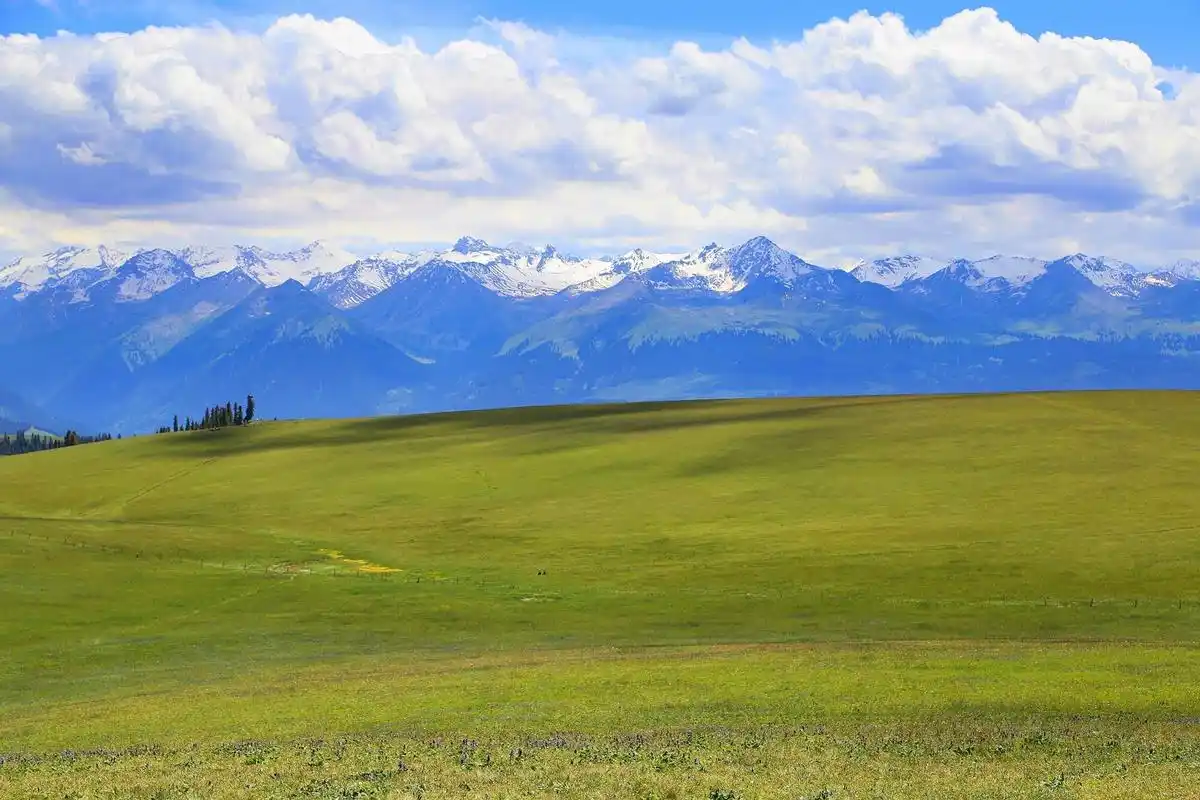 喀拉峻大草原宁静迷人自然风光