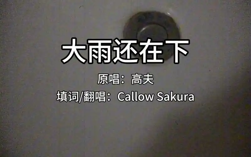 大雨还在下,我们还是妥协了 - covered by callow sakura