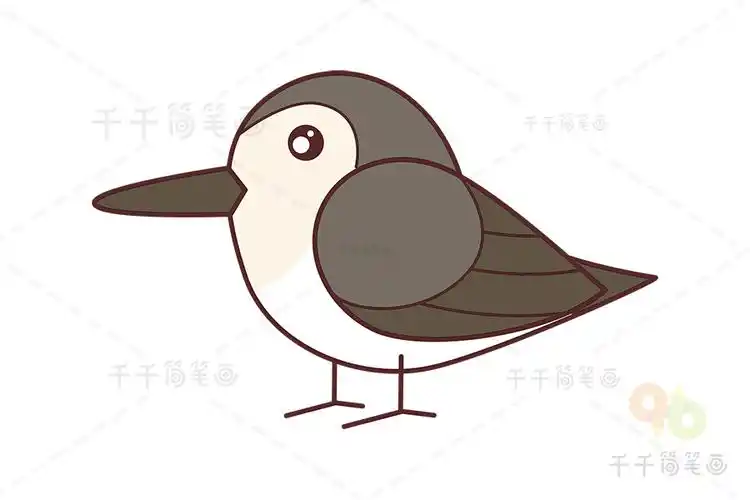 勺嘴鹬简笔画