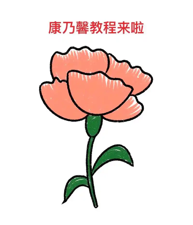 画一朵康乃馨送给天下的母亲99们.#零基础学画画 #简笔画  - 抖音