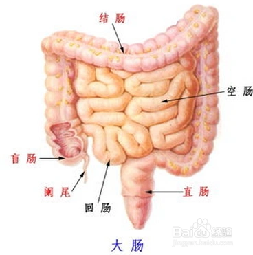 6  6,凌晨5-7点,是大肠排毒的时间,这时候让自己排便,在厕所蹲10