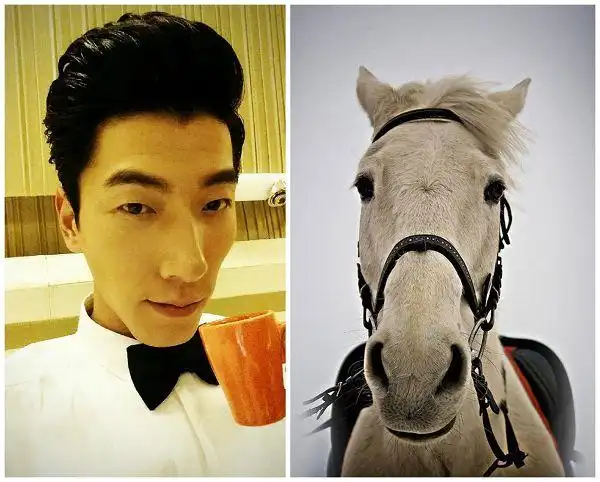 你说我俊(zun)还是ta俊(zun) 中外马脸大pk