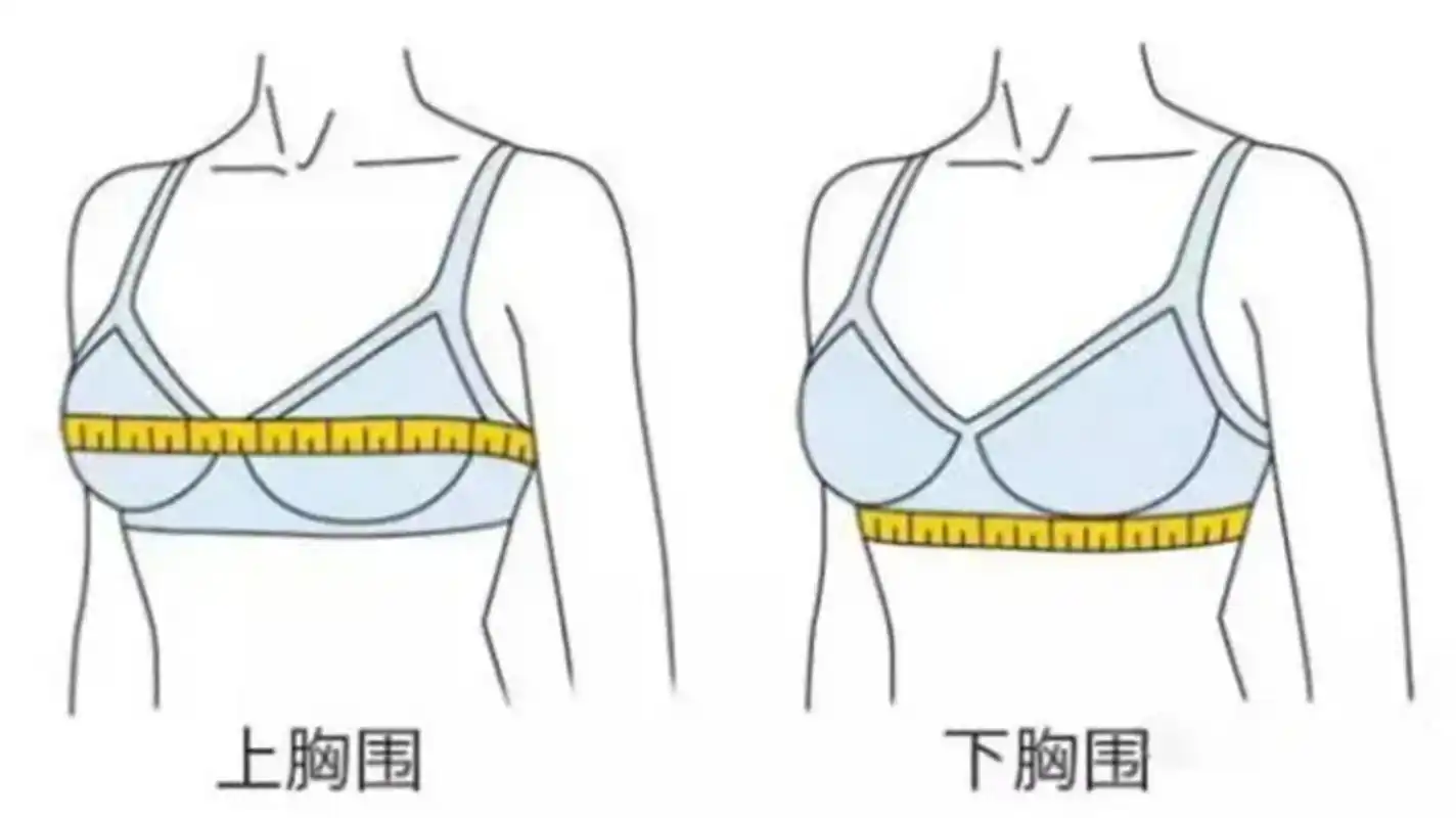 内衣保姆级指南丨春夏这么搭,撩人又时髦|内衣|胸围|乳贴_新浪新闻