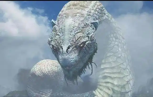 中国大蛇vs日本蛇(那些传说中的巨蛇) - 桂波百科号