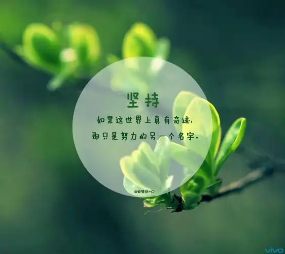 朋友圈优美励志的句子