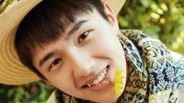 有虎牙的明星:王俊凯,刘昊然,黄景瑜,佟丽娅,马伊琍,张雪迎