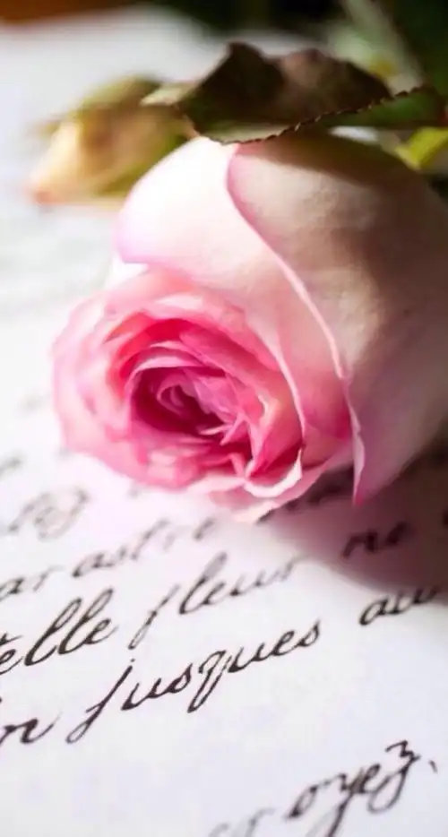 壁纸-堆糖,美好生活研究所